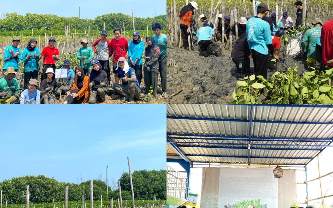 Kolaborasi Mahasiswa Teknologi Hasil Perikanan  Ciptakan “Tangguh Bencana” dengan Tanam Mangrove di Desa Tambakrejo